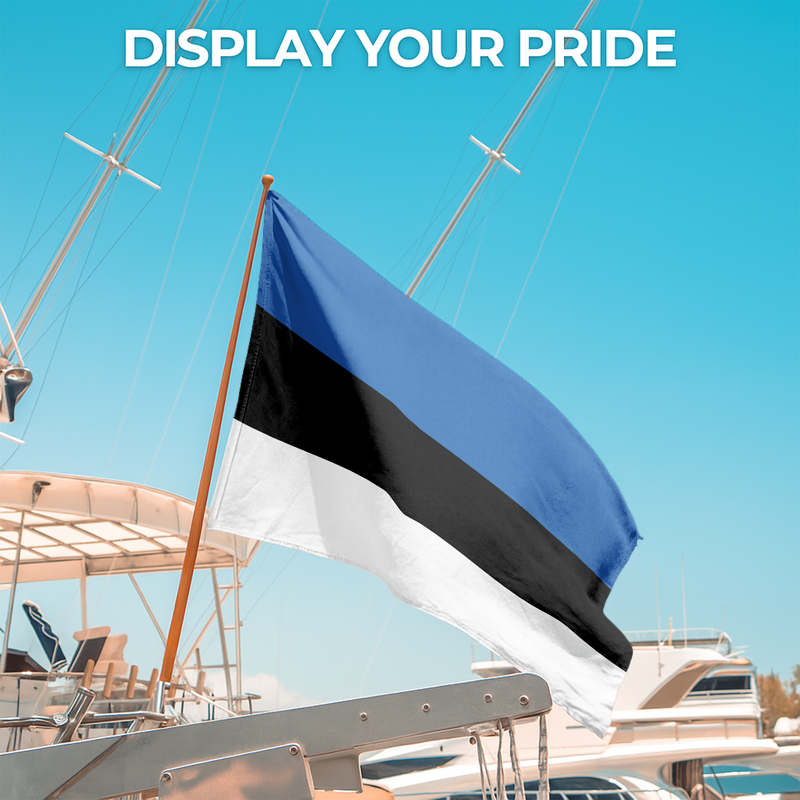 ESTONIA FLAG