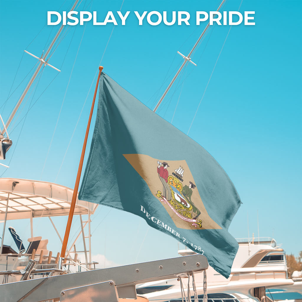 DELAWARE STATE FLAG