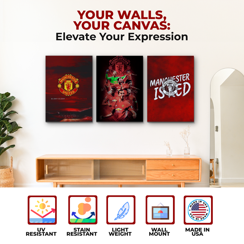 MANCHESTER UNITED FC WALL CANVAS