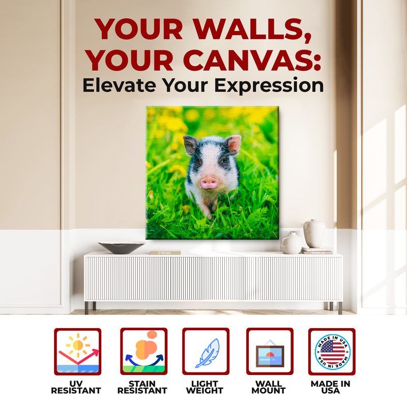 MINI PIG DECOR CANVAS