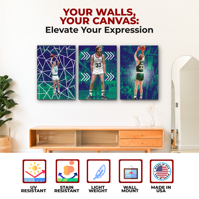 BIRD/ CELTICS WALL CANVAS