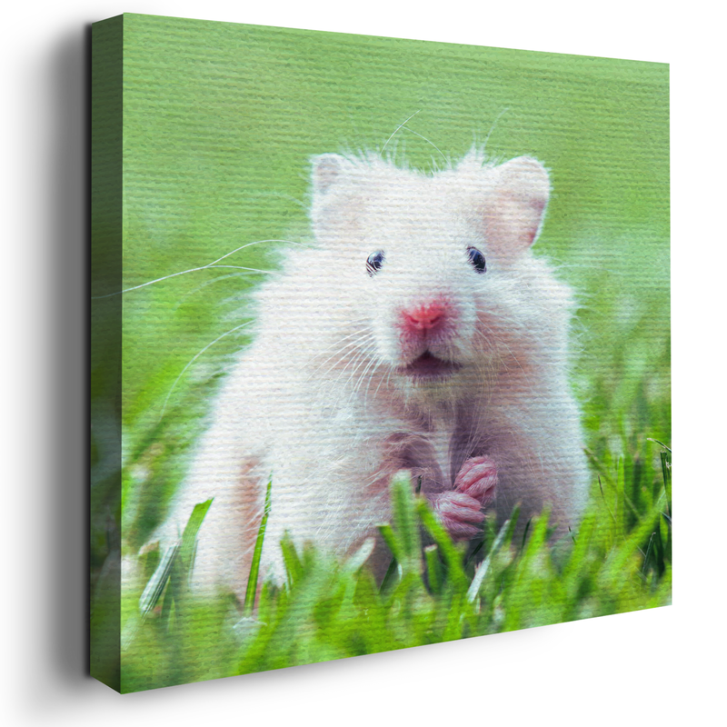HAMSTER DECOR CANVAS