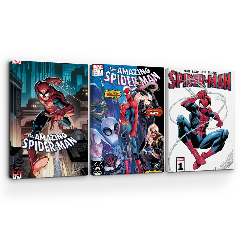 SPIDERMAN COMICS CANVAS DECOR
