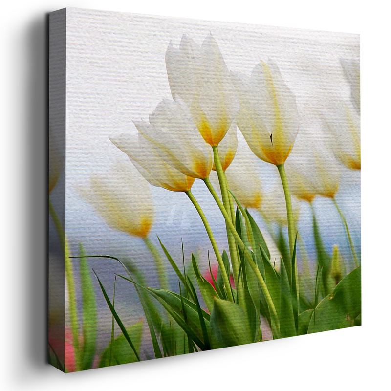 WHITE GRAY FLOWER CANVAS