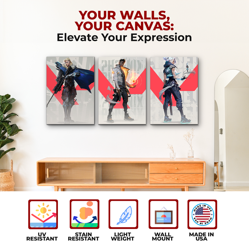 VALORANT CANVAS DECOR