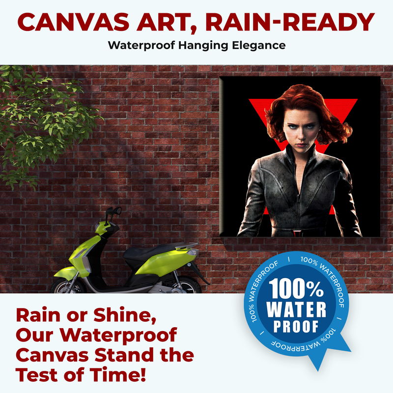 BLACK WIDOW WALL CANVAS DECOR