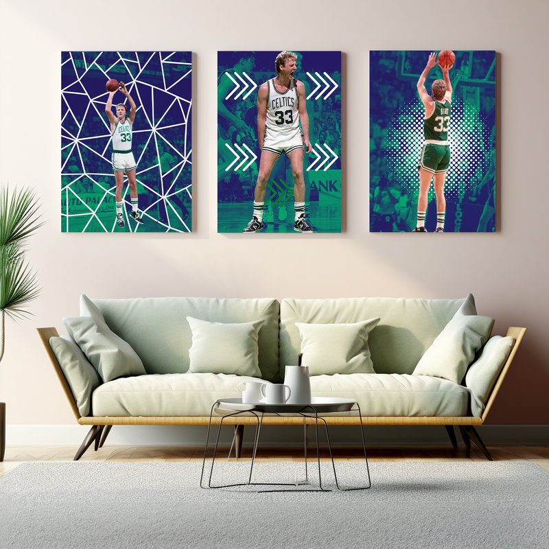 BIRD/ CELTICS WALL CANVAS