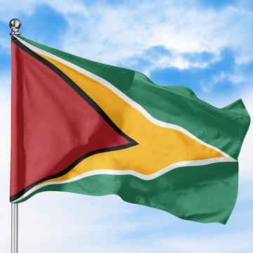 GUYANA FLAG