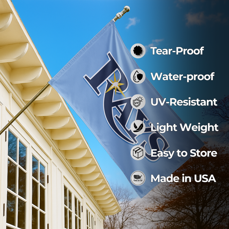TAMPA BAY RAYS FLAG