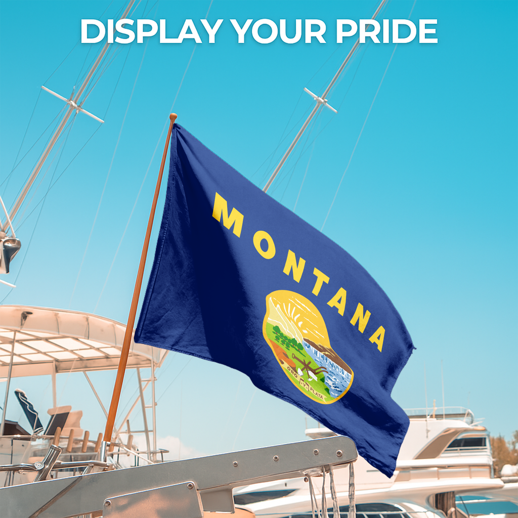 MONTANA STATE FLAG