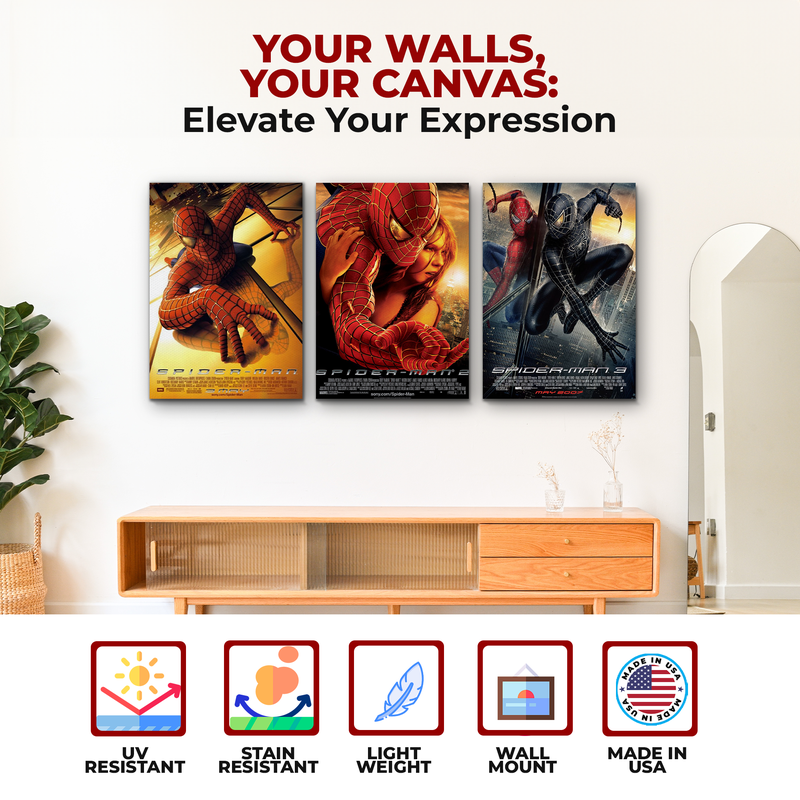 SPIDERMAN MOVIES CANVAS DECOR