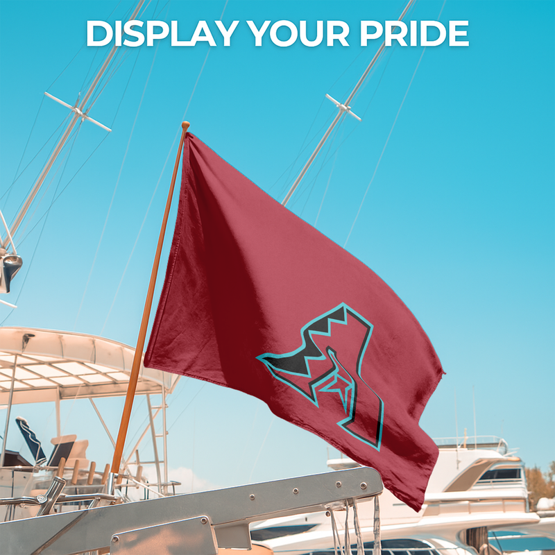 ARIZONA DIAMONDBACKS FLAG