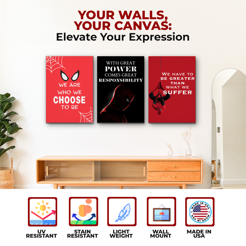 MORE THAN SPIDERMAN CANVAS DECOR
