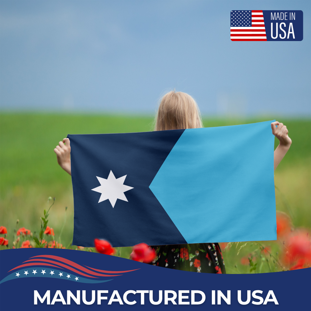 MINNESOTA STATE FLAG