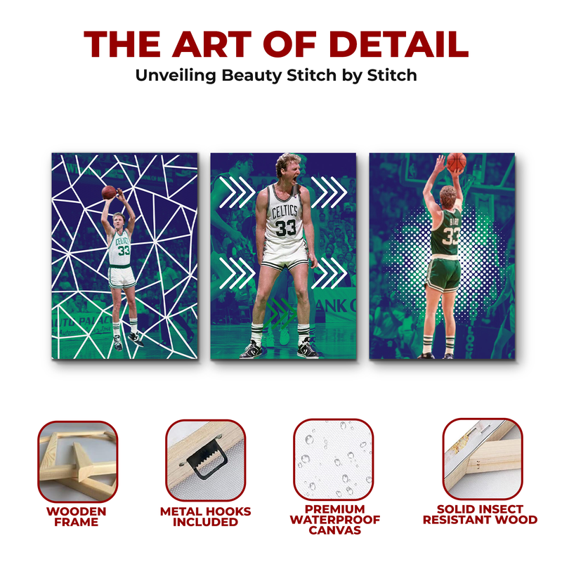 BIRD/ CELTICS WALL CANVAS