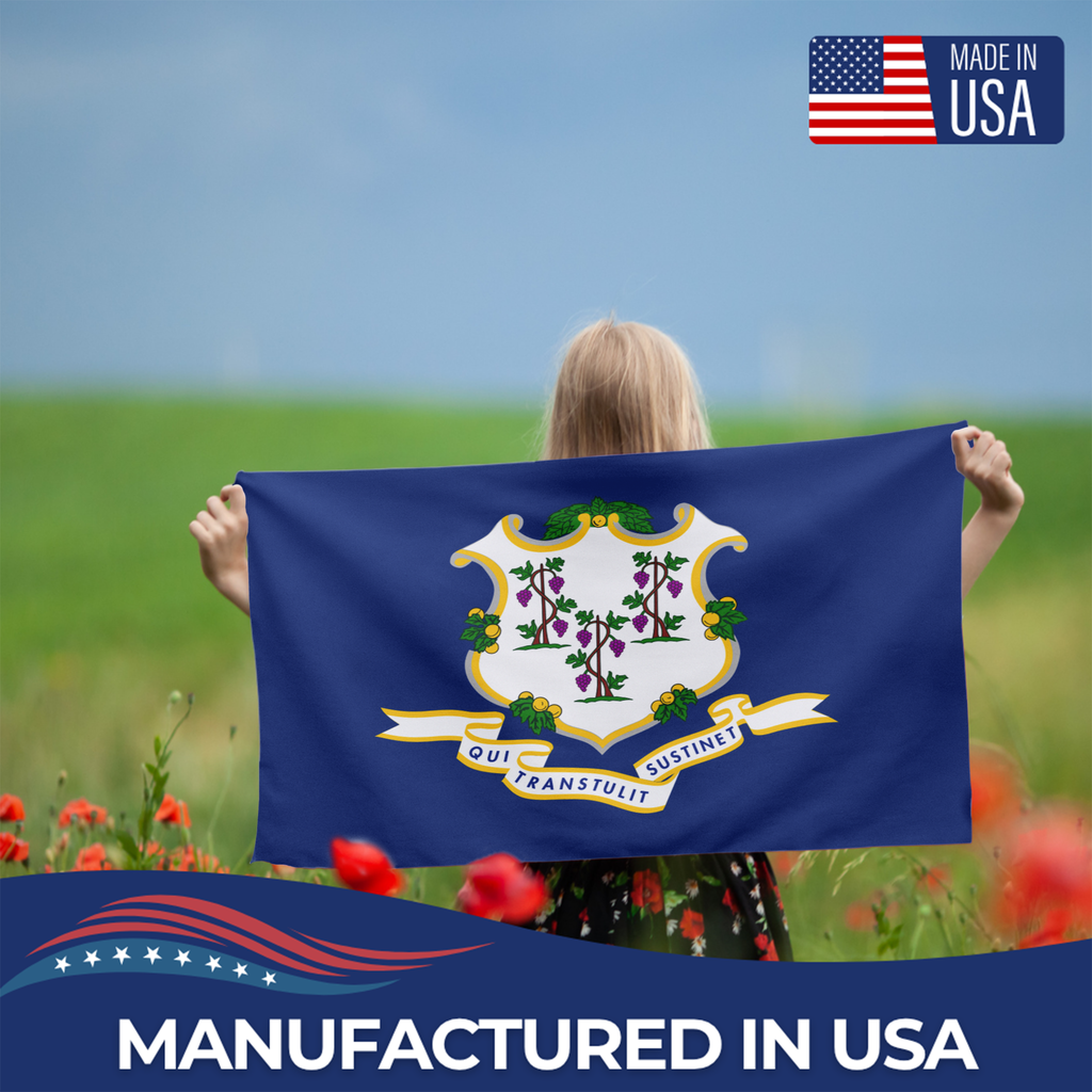CONNECTICUT STATE FLAG