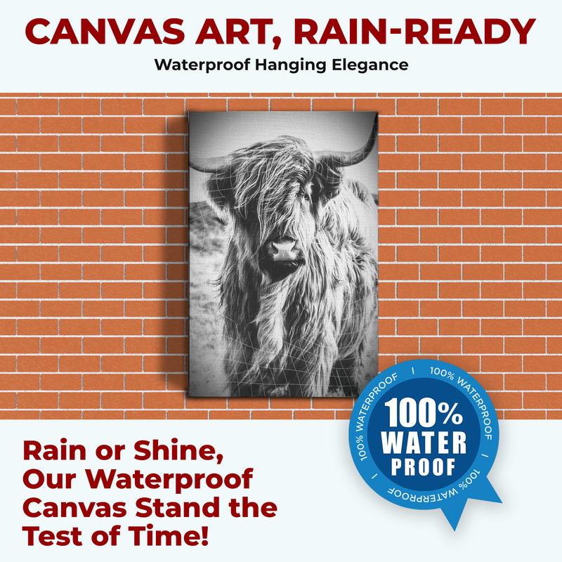 HIGHLAND COW CANVAS DECOR