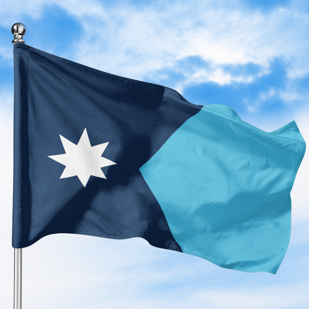 MINNESOTA STATE FLAG