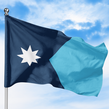 MINNESOTA STATE FLAG