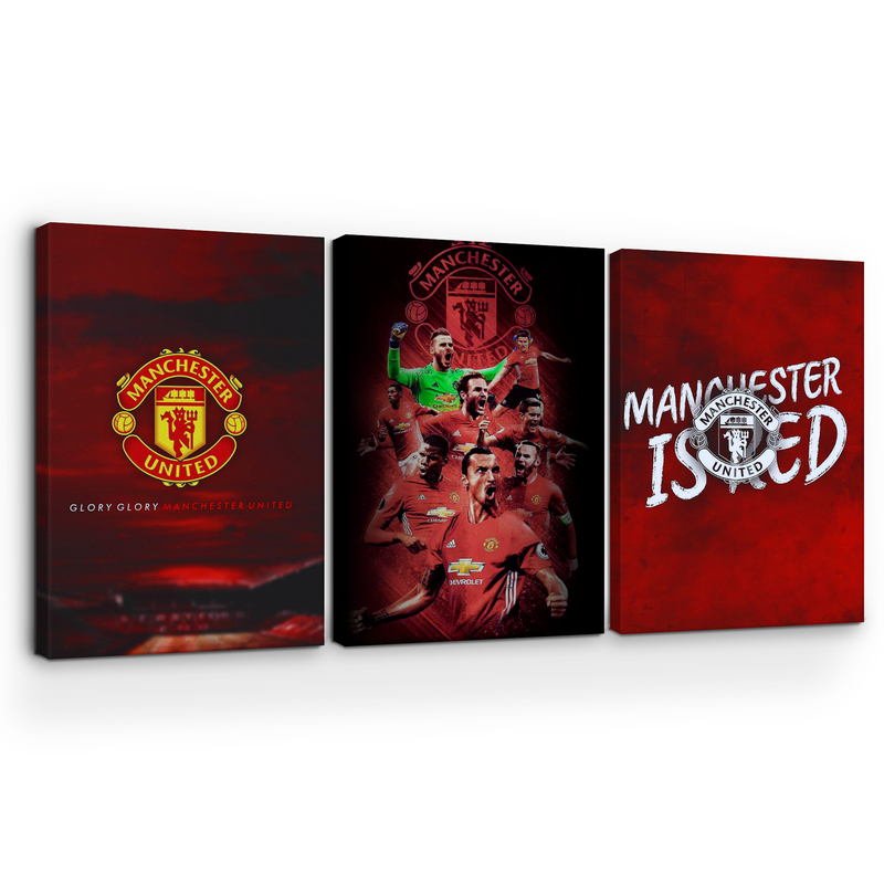 MANCHESTER UNITED FC WALL CANVAS